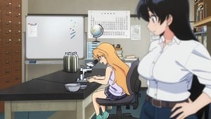 rr041