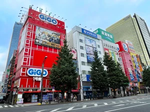 gigo