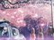 Five Centimeters Per Second
