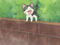 Episode 21