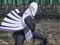 (Dub) Sengoku Basara: The Last Party