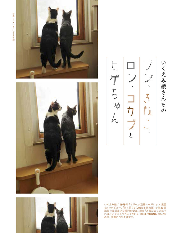 Manga Creators Share Their Beloved Cats In New Book Interest Anime News Network Manga Creators Share Their Beloved Cats In New Book Interest Anime News Network
