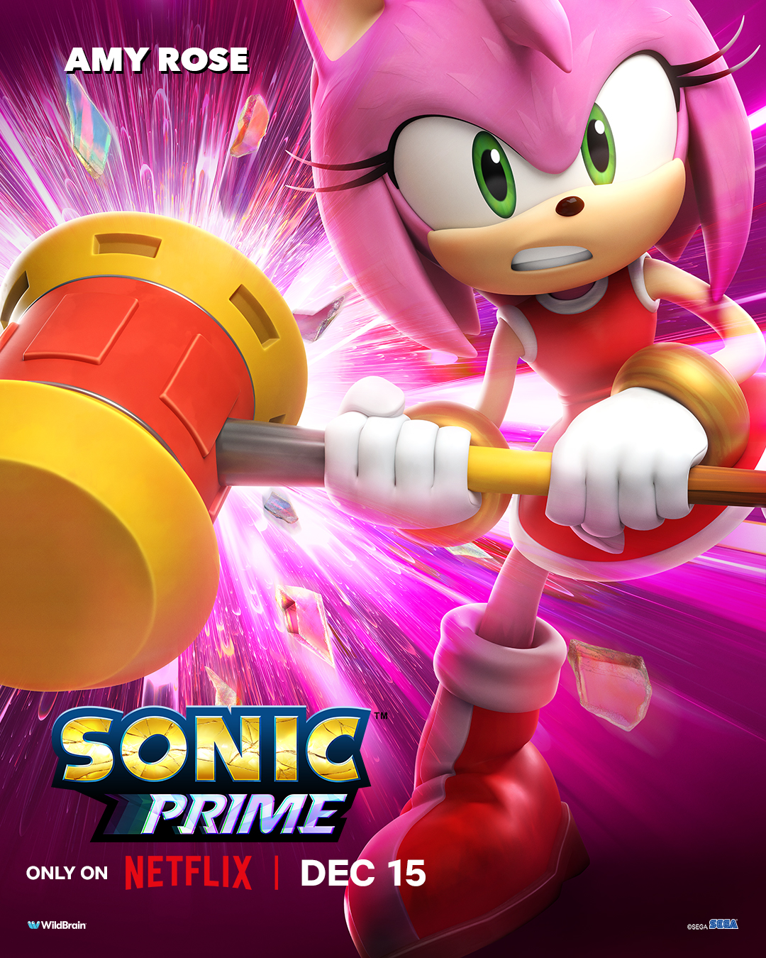 Sonic Prime season 2 cast list and characters explored