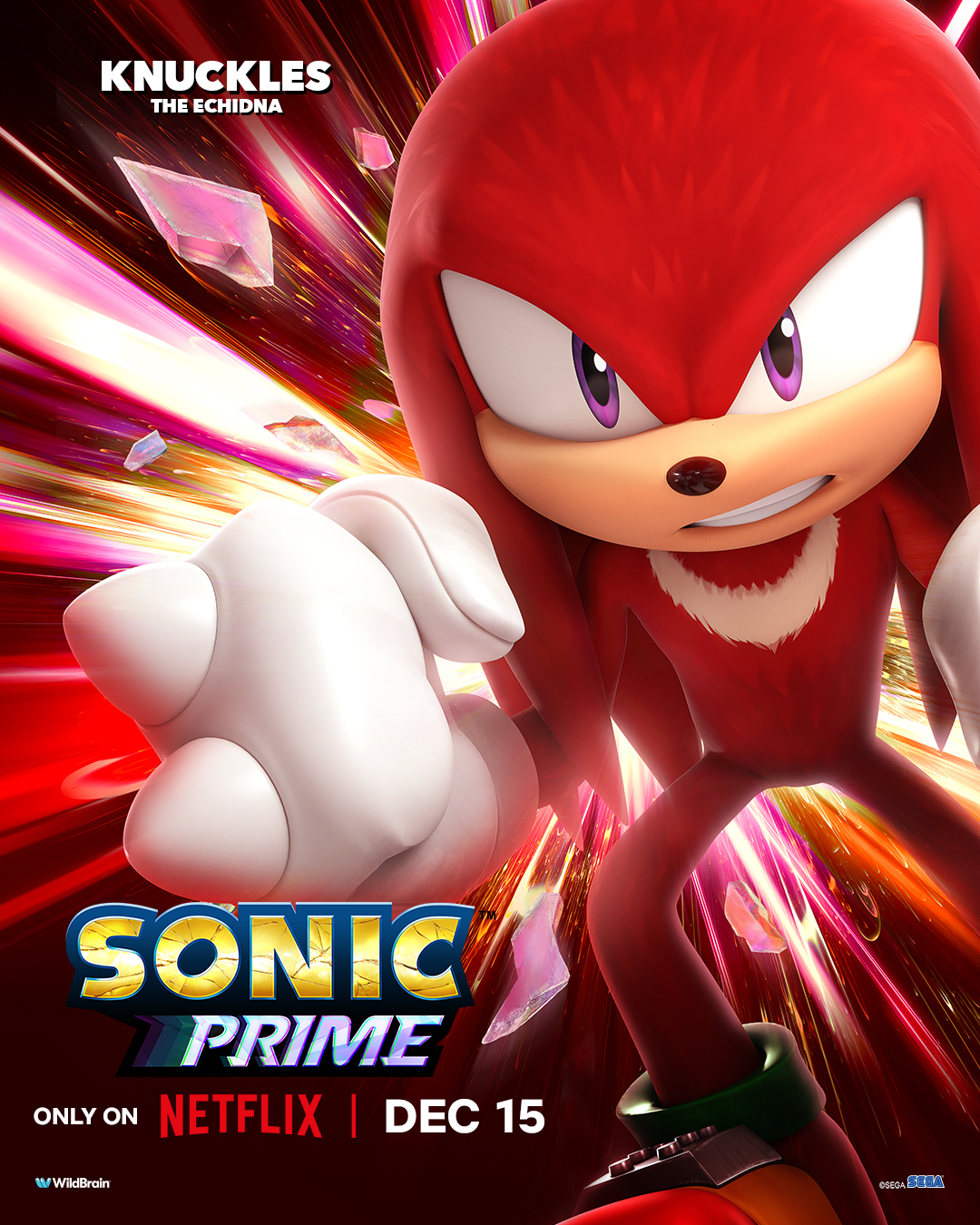 All the Sonic Prime episode titles and - The Sonic News Leader