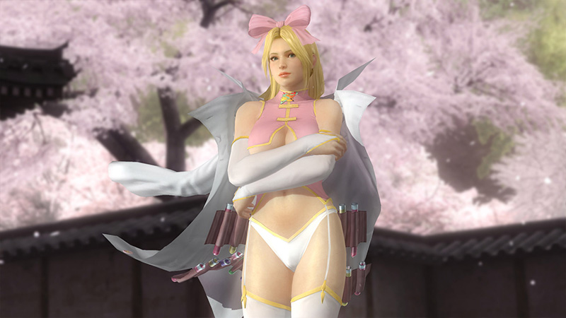 dead or alive 5 last round dlc costumes not showing up dead or alive 5 last round dlc costumes not showing up