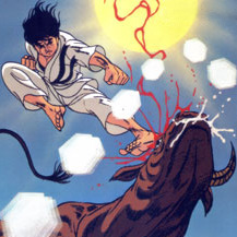 Karate Master (TV) - Anime News Network