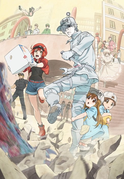 Cells at Work! Anime Reveals Character Visuals for Red, White Blood Cells -  News - Anime News Network