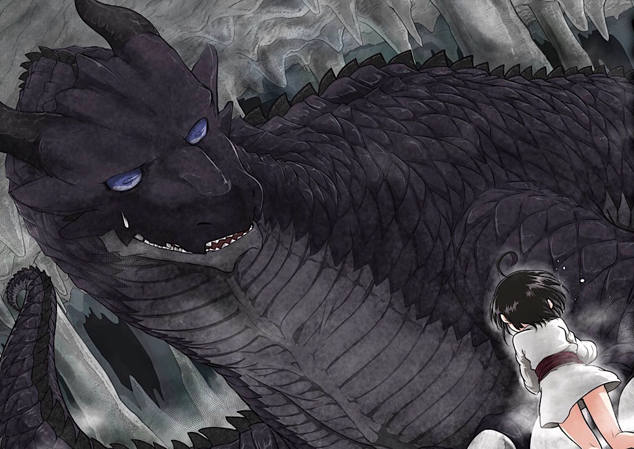 The 5000yearold Herbivorous Dragon  Wiki  Light Novel Nation Amino