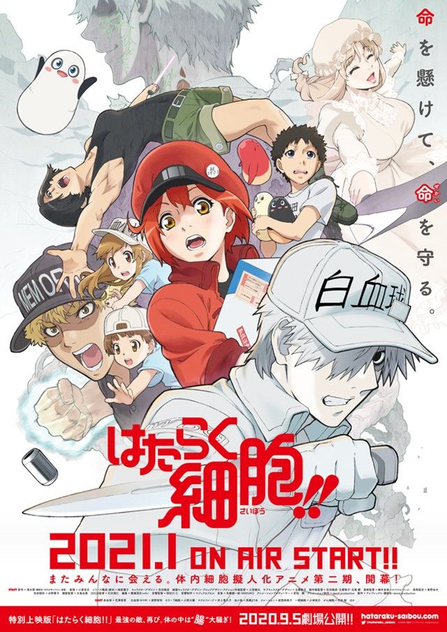 Hataraku Saibou !! - Novo comercial da segunda temporada conta com a  presença dos Leucócitos. - Anime United