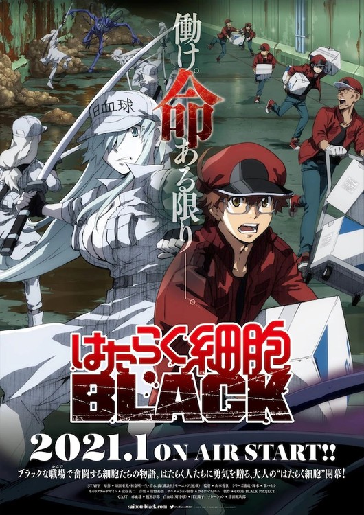BlooD - #Anime : Hataraku Saibou Black