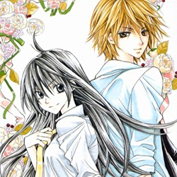 Special A  Maki Minami Series Review  Heart of Manga
