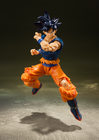 shf-son-gokou-ultra-instinct-sign_03