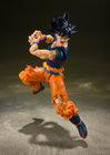 shf-son-gokou-ultra-instinct-sign_04