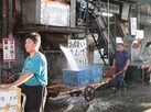 tsukiji10