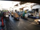 tsukiji11