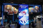 dsc05239