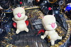 org_dsc09569