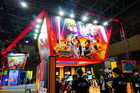 org_dsc09602
