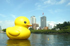 rubberduck_cover-1