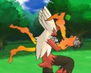 mega-blaziken-screenshot-2.bmp