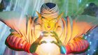 piccolo2