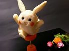 sany0046