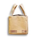 news_large_1369634934carton_bag3