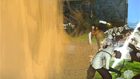 crocodile_action03.bmp