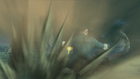 attack10