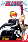 bleach_01c