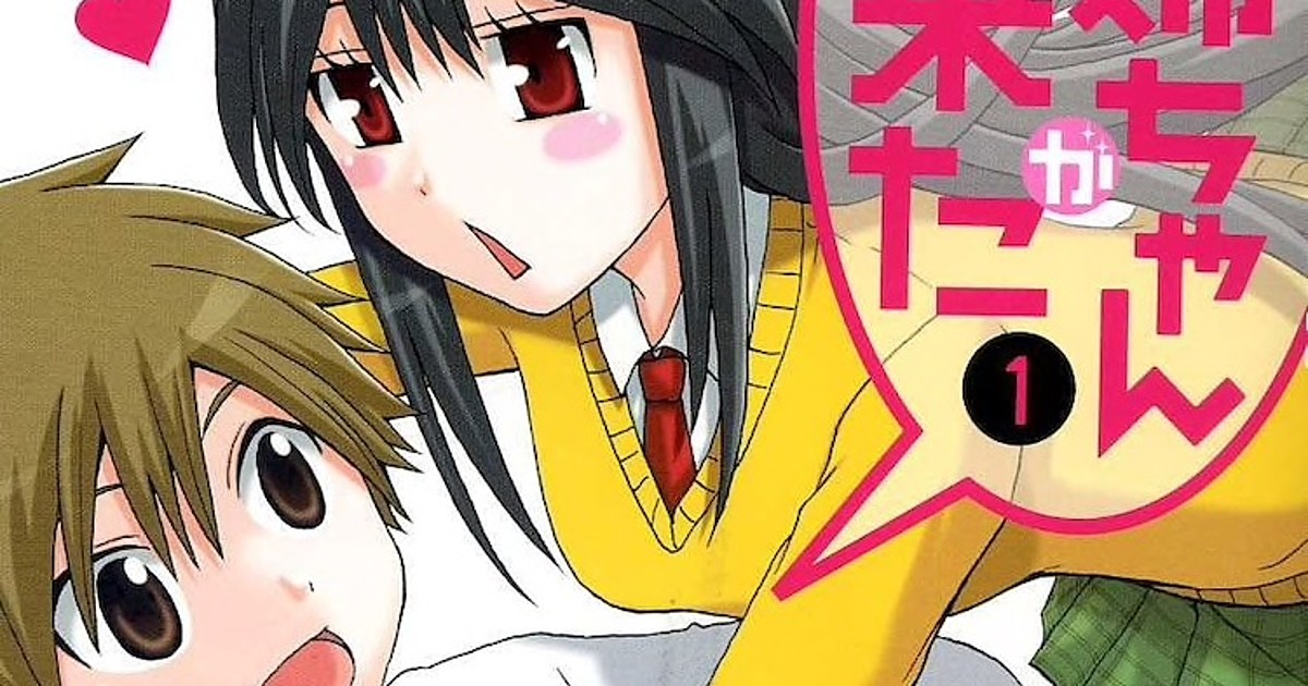 Oneechan ga Kita 4-Panel Sisterly Love Manga Ends - News - Anime News  Network
