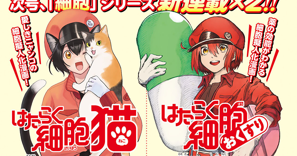 Cells at Work! Anime Reveals Character Visuals for Red, White Blood Cells -  News - Anime News Network