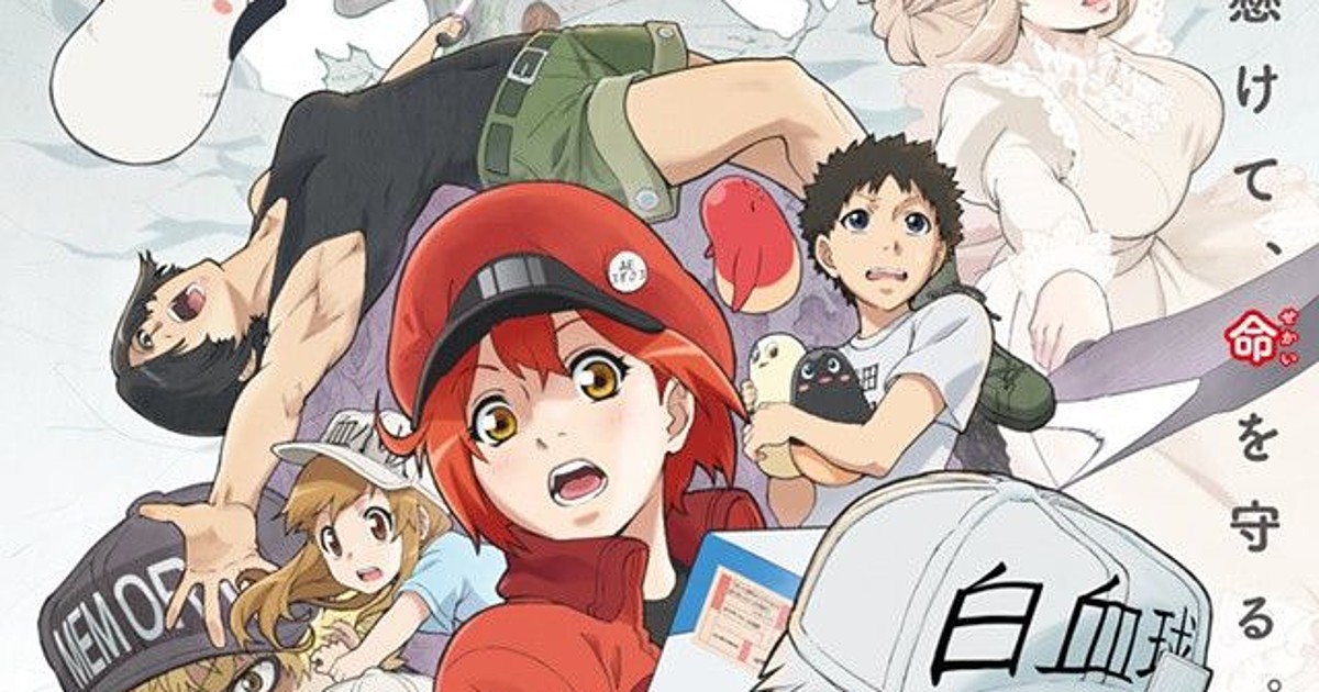 Cells at Work! Review • Anime UK News