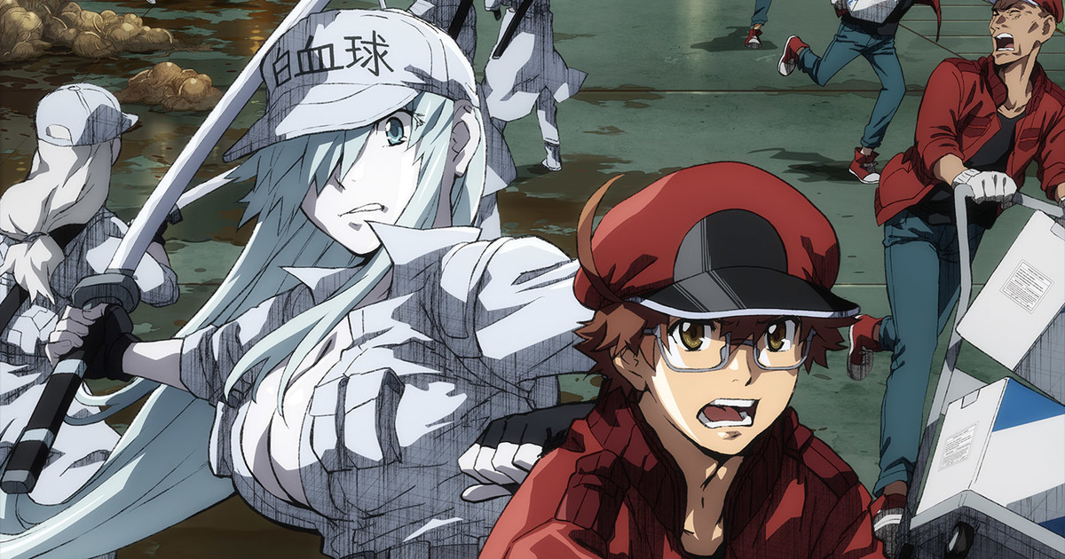 Random Wednesday #2: Cells At Work Episode #1