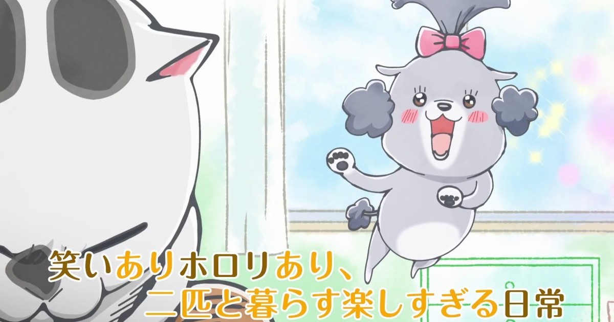 With a Dog AND a Cat, Every Day is Fun Will It Come Out Today? - Watch on  Crunchyroll