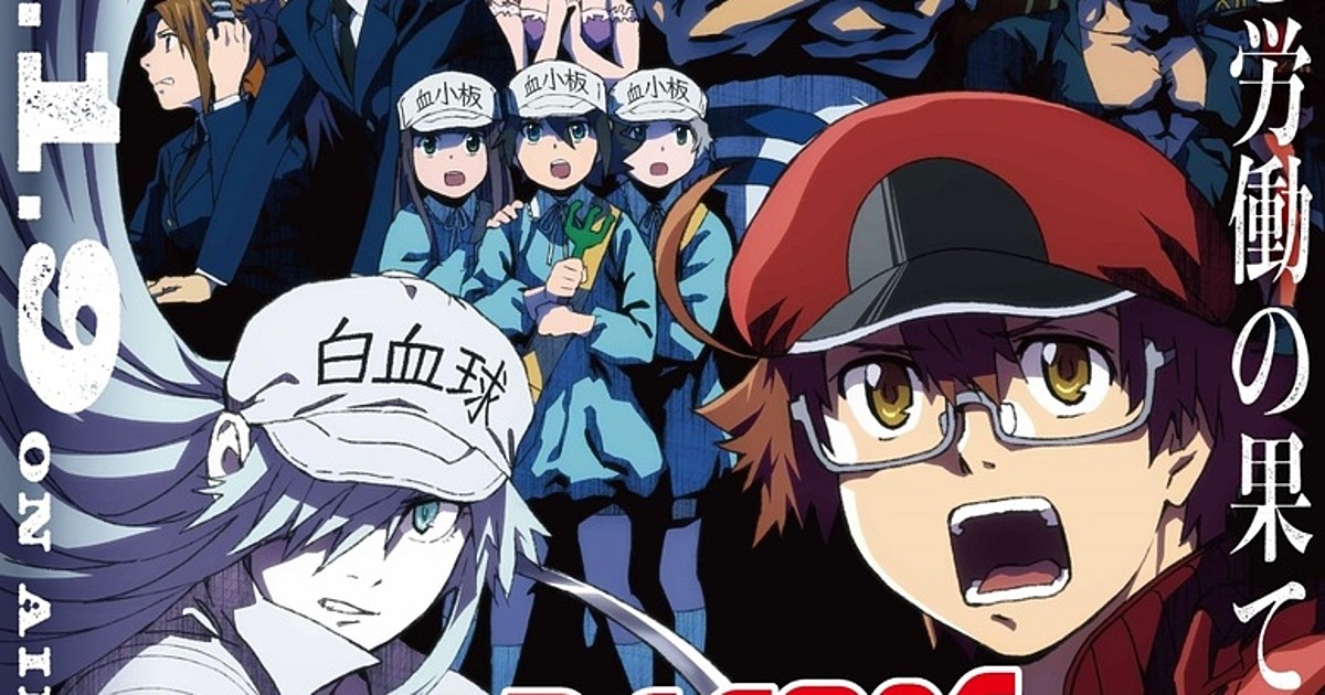 Cells at Work! Anime Reveals Character Visuals for Red, White Blood Cells -  News - Anime News Network