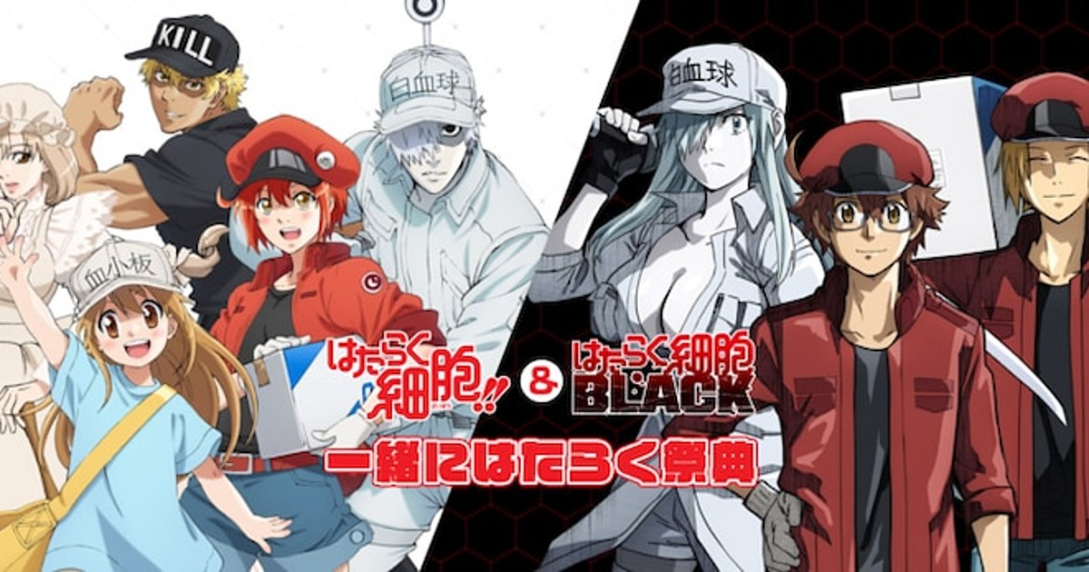 Hataraku Saibou!” and “Cells At Work! Code Black!” Blu-Ray/DVD