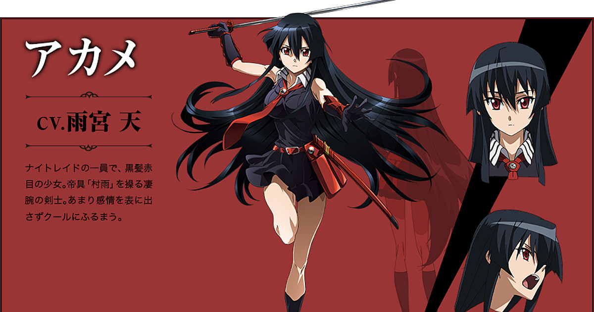 Akame ga kill characters  Akame ga kill, Anime, Akame ga