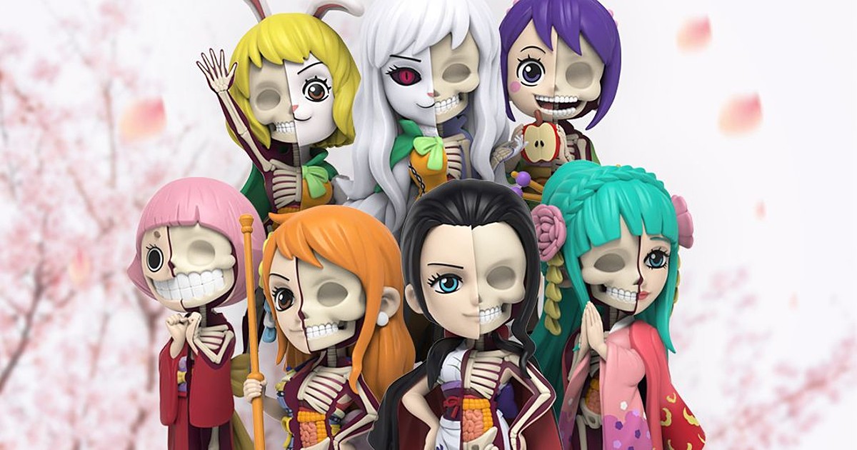 日本未入荷 ONEPIECE mighty jaxx コラボ レディースver Mighty Jaxx One Piece Hidden Dissectibles Series Five Ladies