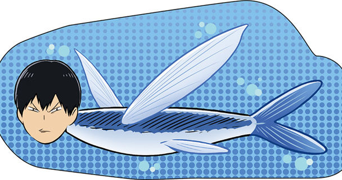Haikyu's Tobio Gets Punny Transformation into Flying Fish - Interest -  Anime News Network