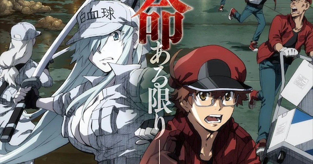 2 New Original Characters!  Cells at Work(Hataraku Saibou) Amino