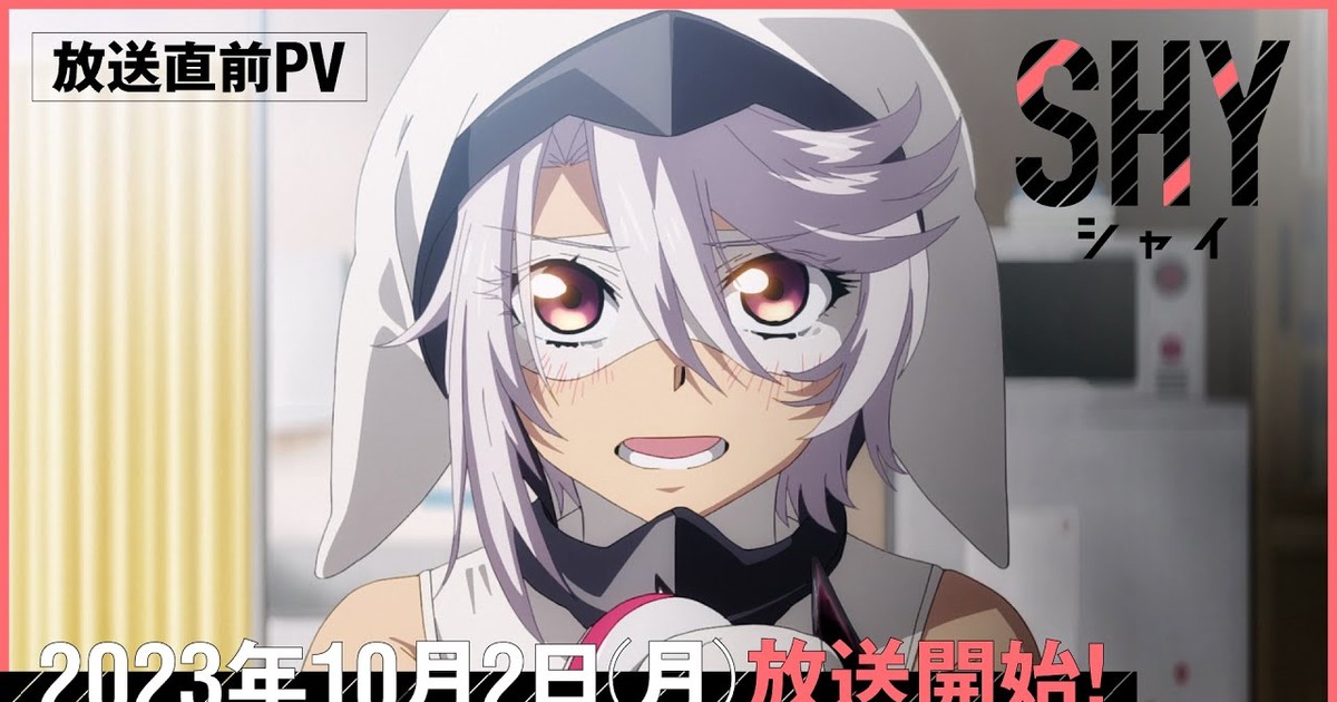 Infinite Stratos Season 3 Release Date, Trailer, Cast, Expectation