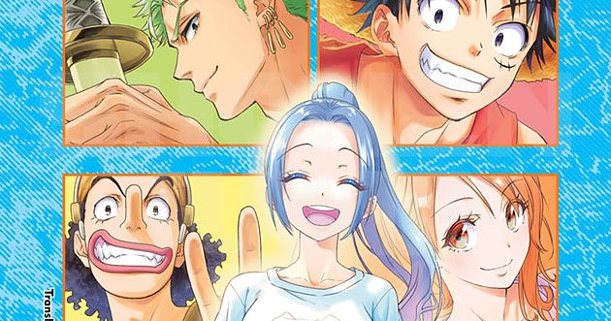 VIZ on X: Announcement: Based on the novel series One Piece
