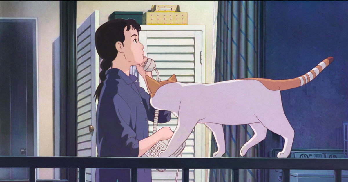 Only Yesterday Movie Review  Studio Ghibli Anime On Netflix