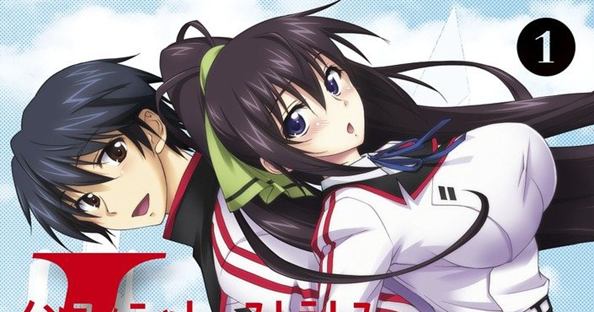 Infinite Stratos (Light Novel)