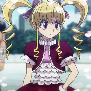 Hunter × Hunter Hunter × Hunter
