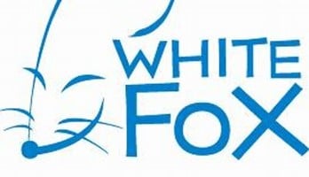 Publisher AlphaPolis Acquires Anime Studio White Fox