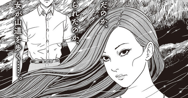 Resultado de imagem para Travelogue of the Succubus Manga