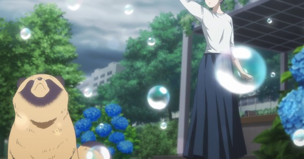 With You and the Rain Finale: Episode 12 – A Downpour of Emotion!