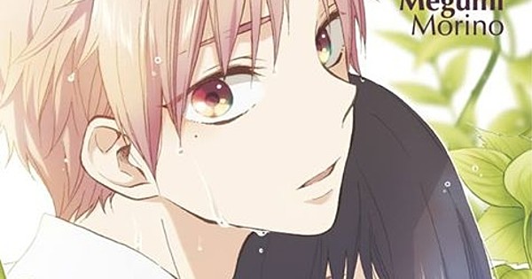 M&C! Licenses Megumi Morino's Good Morning, Little Briar-Rose Manga